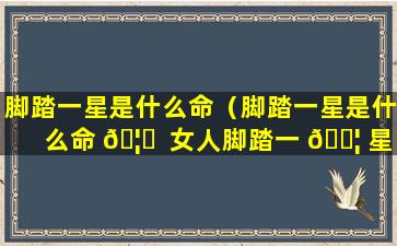 脚踏一星是什么命（脚踏一星是什么命 🦅  女人脚踏一 🐦 星是什么命）